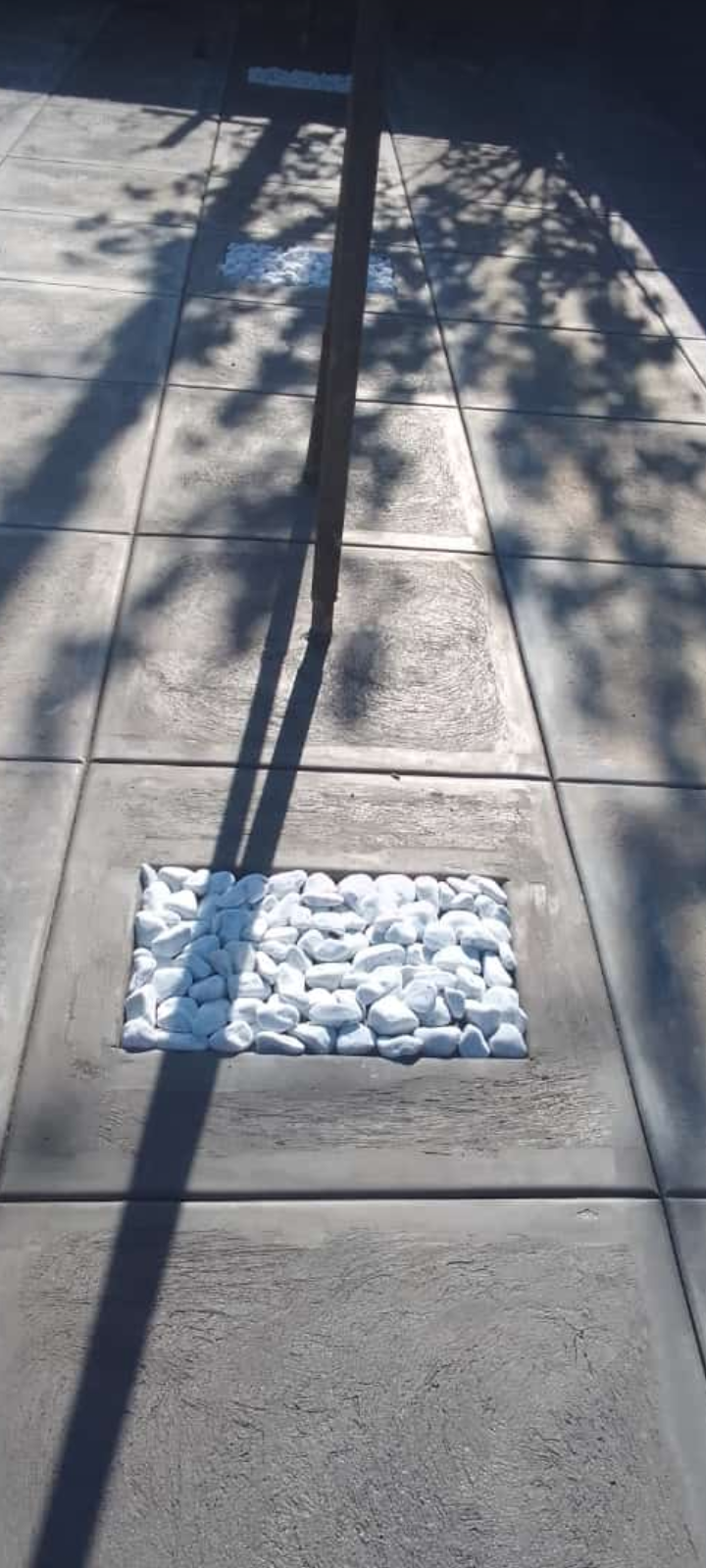 Screenshot 20240101 194231 1