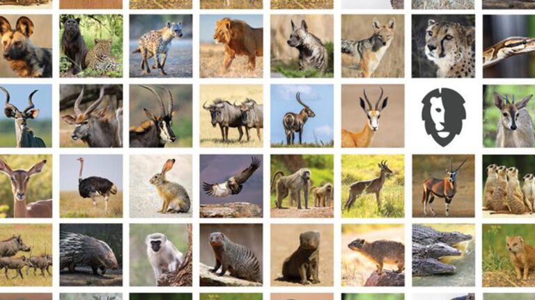 Lion Safari Park 768x432