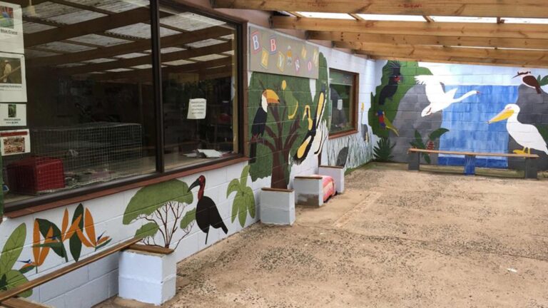 Umgeni River Bird Park hero 768x432