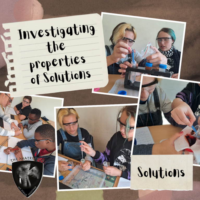 @TheMatriarch 768x768