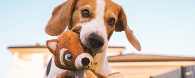 Untitled design 768x307