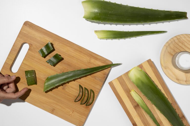 top view aloe vera beauty concept 768x512