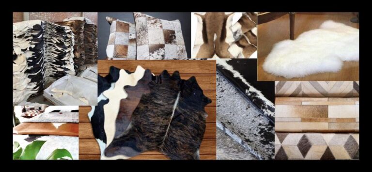 387772276 265838813092306 990745558967664688 n 768x355