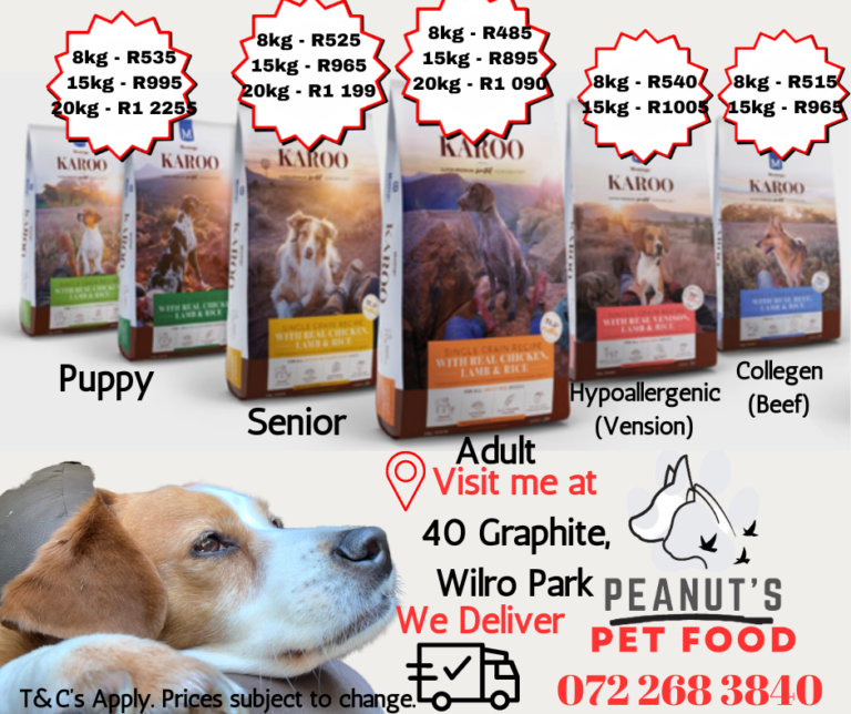 MontegoKarooDog 768x644