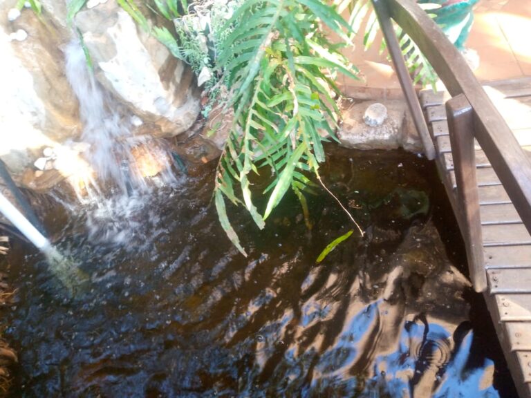 WhatsApp Image 2024 08 17 at 10.46.05 b3918b23 768x576