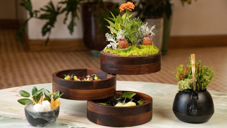 408141624 855028526622737 3883727009716213216 n 768x432