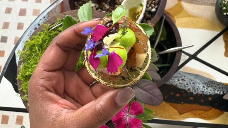 436353045 18428420929034030 8711466903824385637 n 768x432