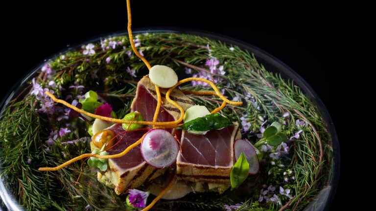 462227630 1072119938246927 6142683350894645359 n 768x432