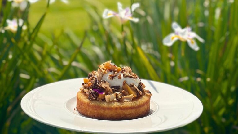 463280066 18004314470657745 2598360029321006439 n 768x432