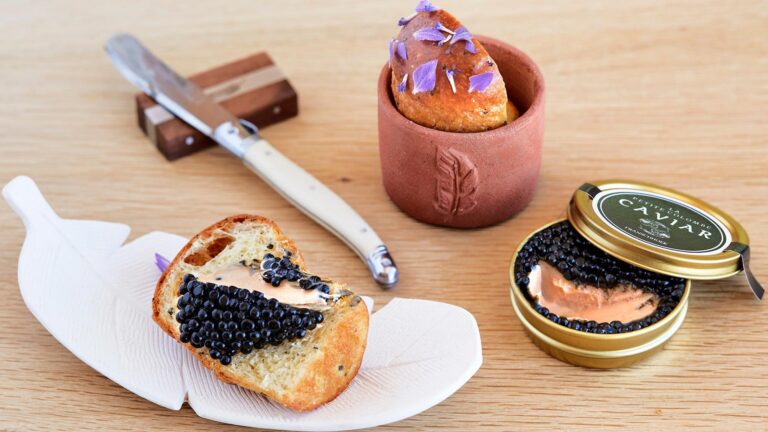 464028305 1083927220399532 4103564239157276019 n 768x432