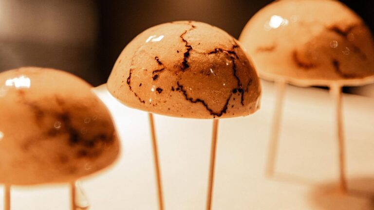 467520032 547915564659088 6461766710770597495 n 768x432