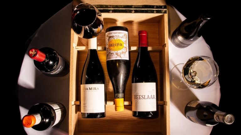 468361094 553436514106993 7390364385751217011 n 768x432