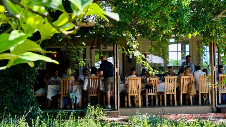 468949829 18010378607657745 7735126605040032993 n 768x432