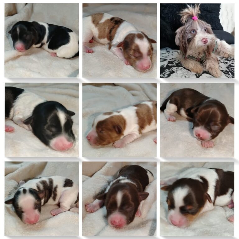 WhatsApp Image 2024 12 18 at 09.00.34 439bbbec 768x768