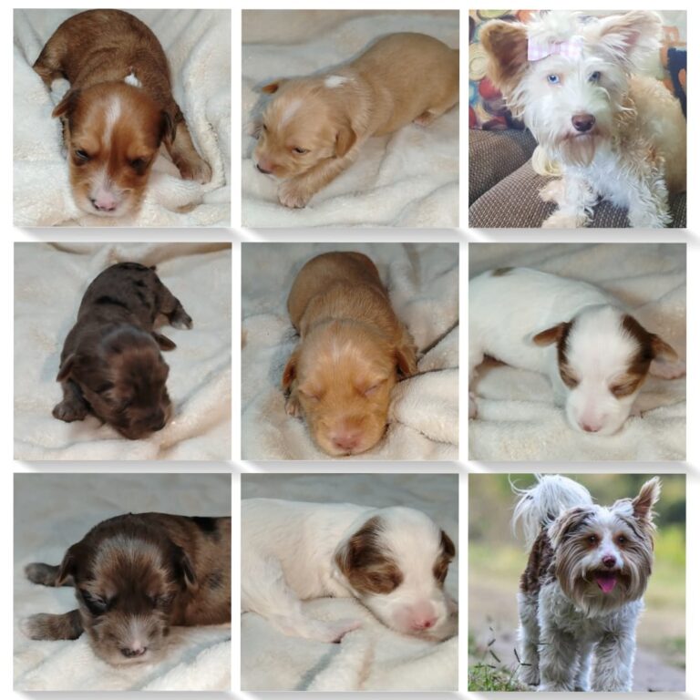 WhatsApp Image 2024 12 18 at 09.00.51 3aede83e 768x768