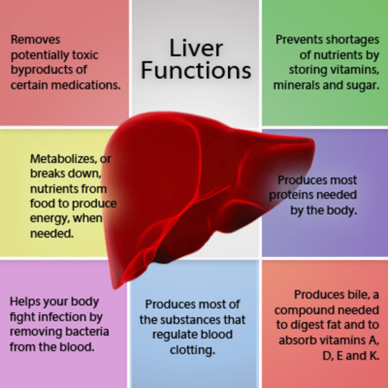 the liver 768x768
