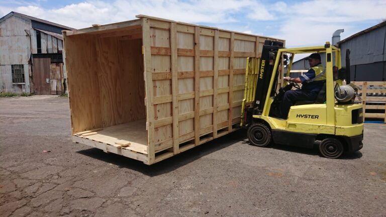 WhatsApp Image 2025 01 13 at 12.08.33 PM 768x432