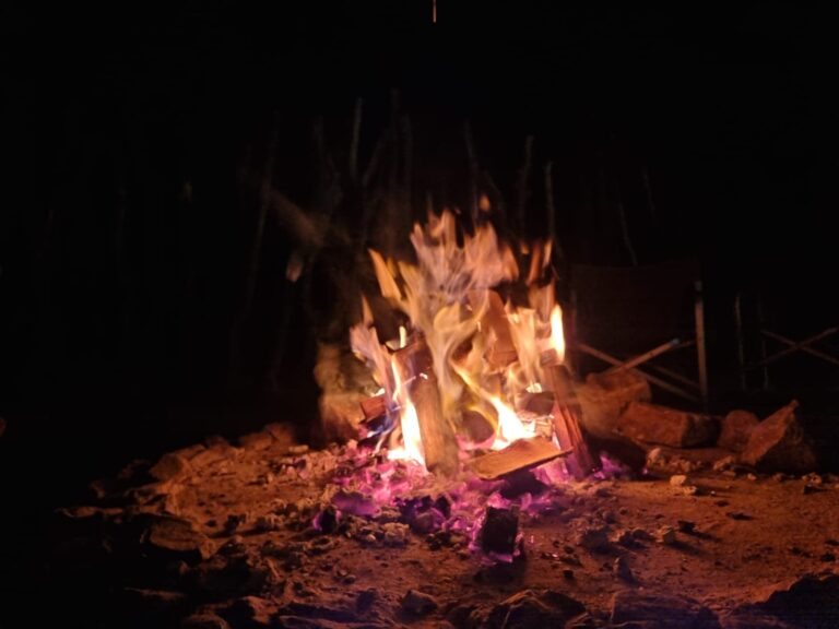 PHOTO 2024 08 12 18 44 05 768x576