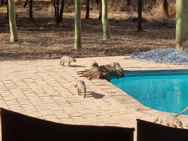 PHOTO 2024 08 12 18 44 06 768x576