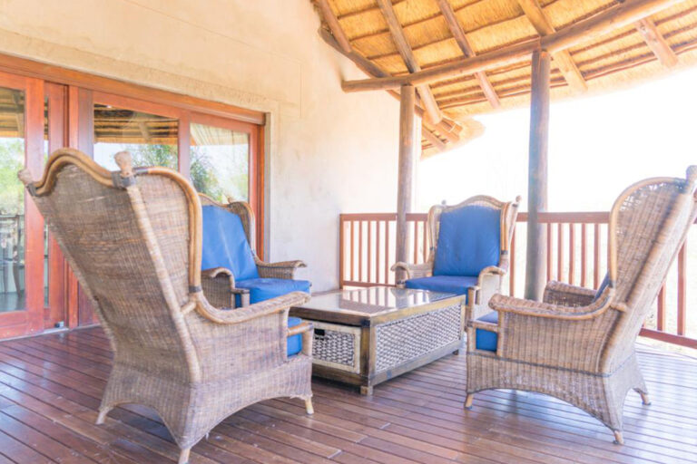 Zebula 132 11 768x512