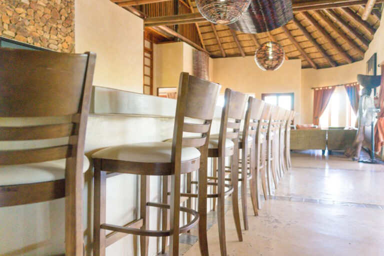 Zebula 132 12 768x512