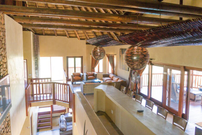 Zebula 132 15 768x512