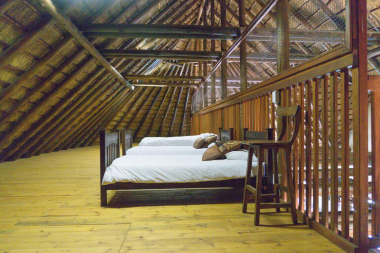 Zebula 132 17 768x512