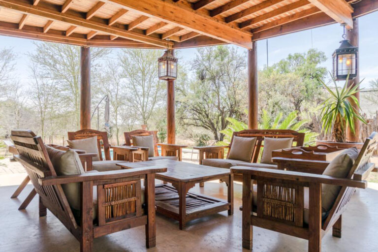 Zebula 132 18 768x512