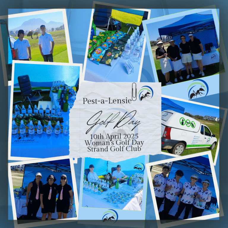 additional additional