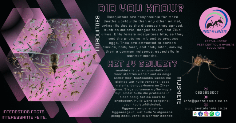 additional additional