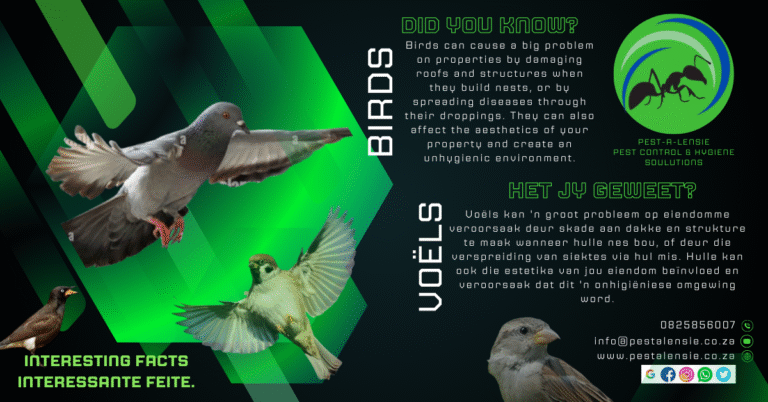 additional additional