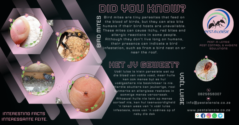 additional additional