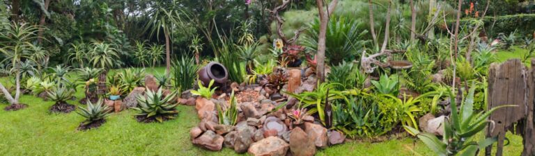 IMG 20250223 WA0010 768x225