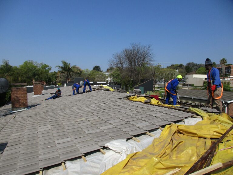 jpeg optimizer IMG 4167 768x576