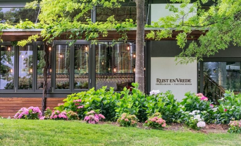 image.handler 768x466