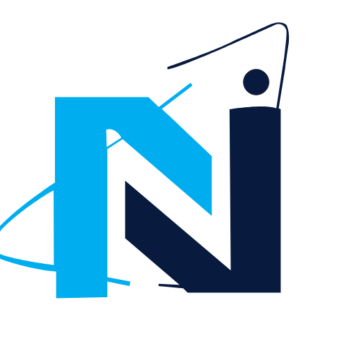 Netshy Logo 10
