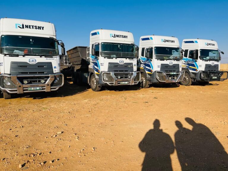 Netsy Trucks 2 768x576