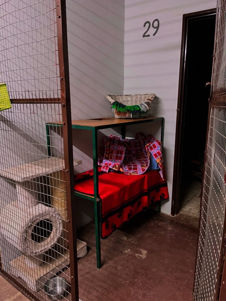 569683513 17854707075556911 6856656909345819715 n 768x1024