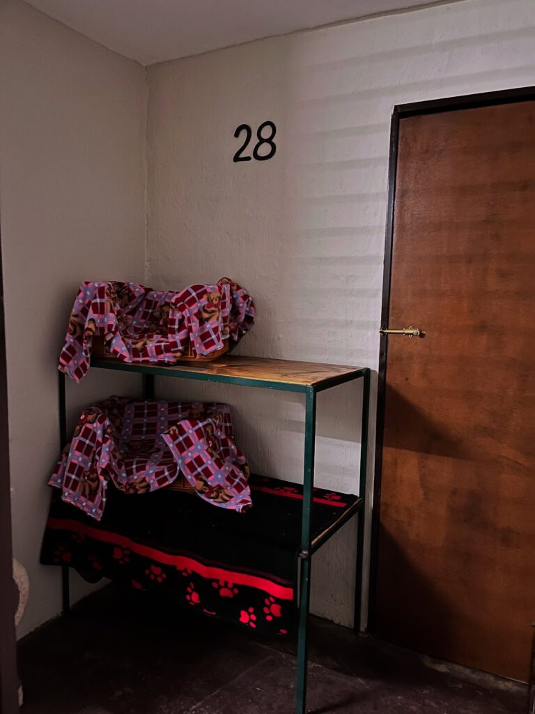 571357858 17854707066556911 2954828803589251003 n 768x1024