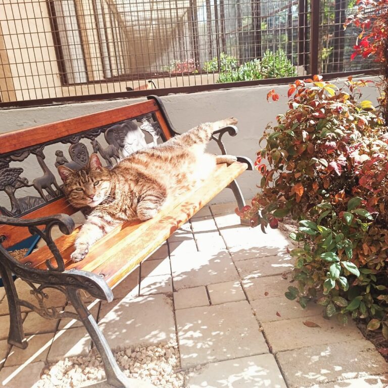 573028850 17856068223556911 3109342648193653218 n 768x768