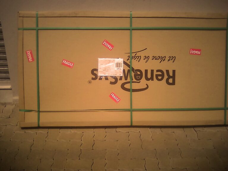 IMG 20251101 100744 768x576