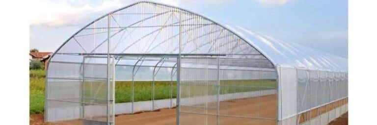 IMG 20231129 WA0006 768x255