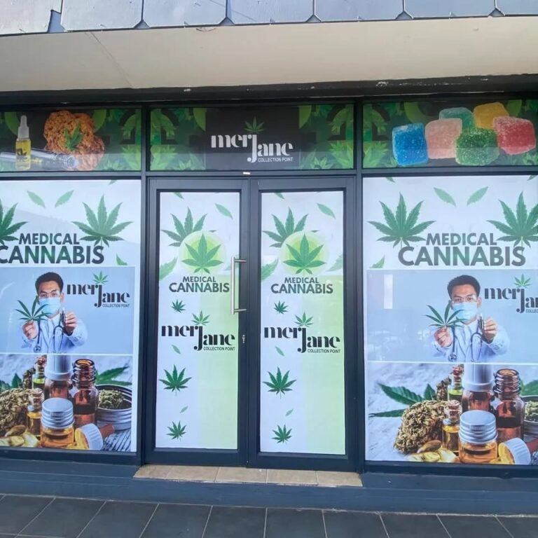 Backman Media Pics 2 768x768