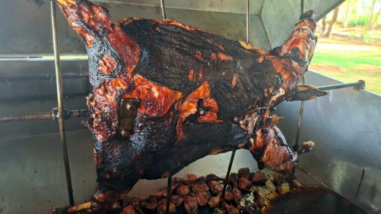 WhatsApp Image 2026 04 12 at 21.27.13 1 768x432