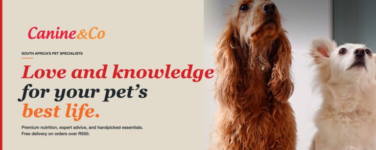 canine co hero 1920x768 1 768x307