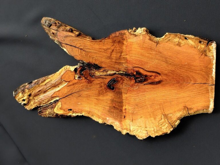 plum burl pb2601008 front wetted 768x576