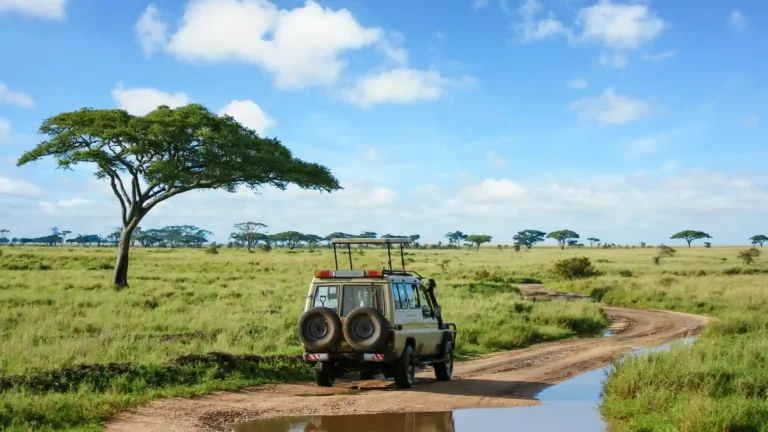 compressed tanzania 1 768x432