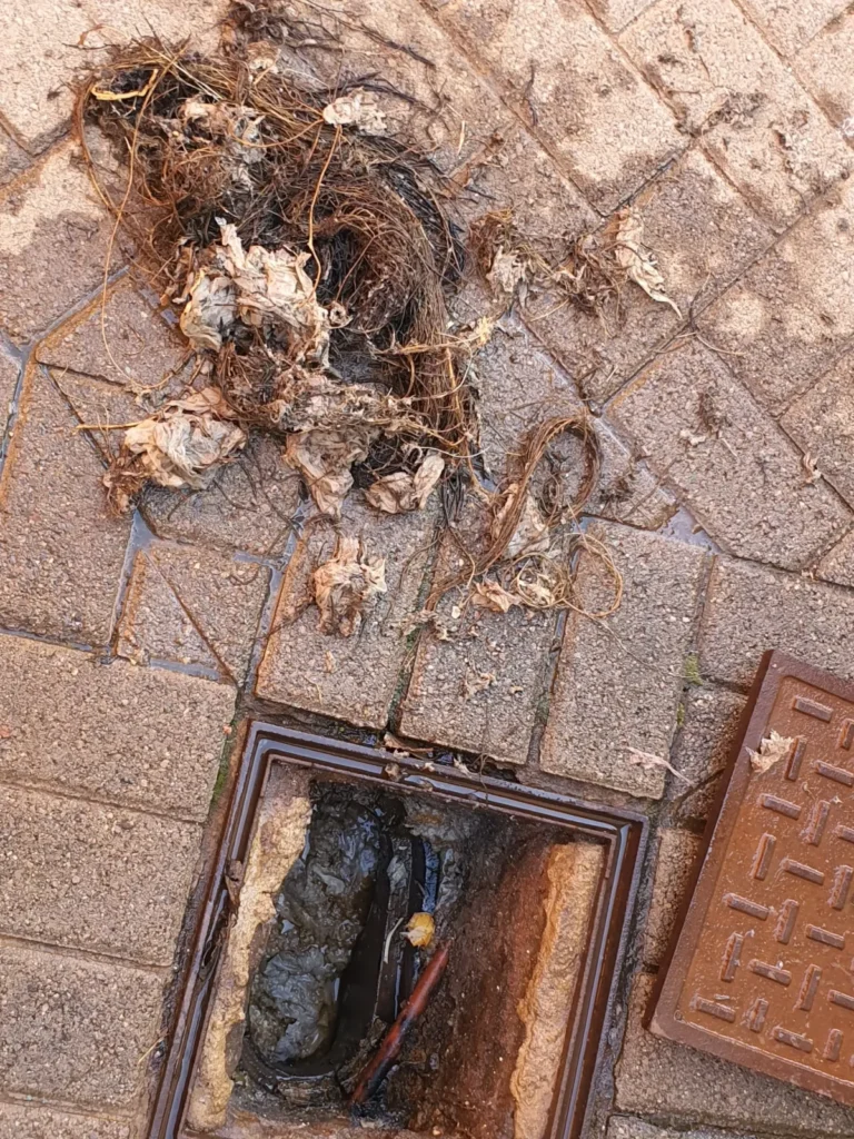Plumb 4 768x1024