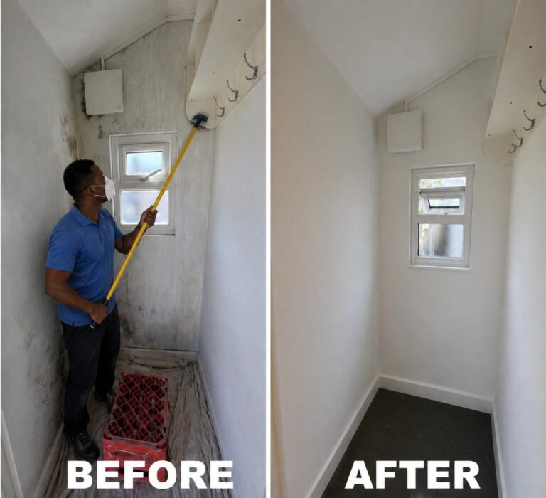mold cleaning 768x700