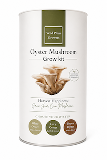 Grey Oyster copy
